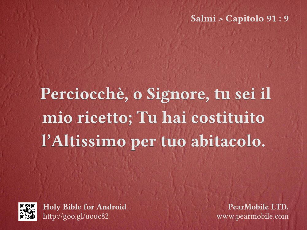 Salmi, Capitolo 91:9
